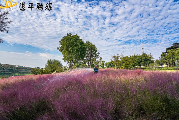 園丁養護.jpg