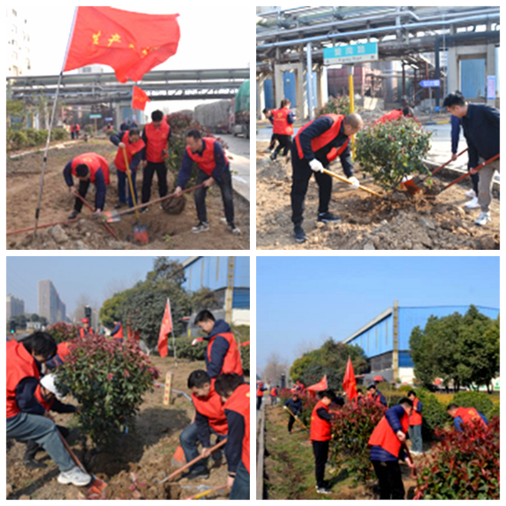 白云紙業(yè)：播種希望建白云 植樹(shù)造林添新綠313_副本.png