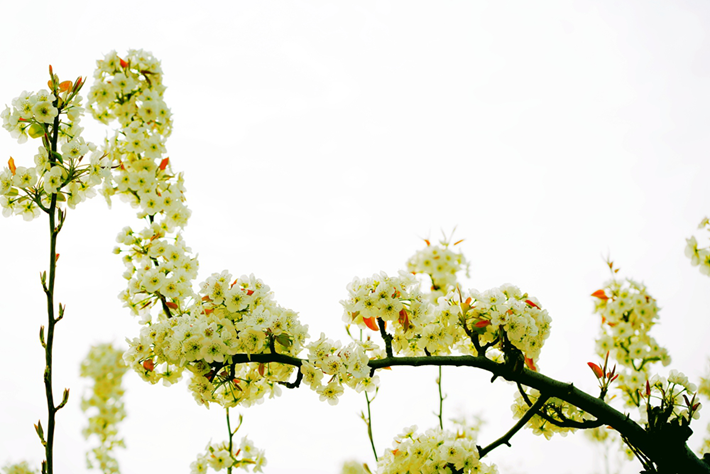 4cc73e804ee64b63936b19ab452c6737 (1).png