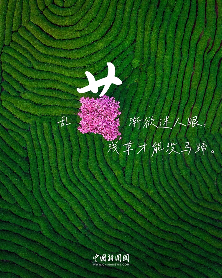 04.jpg