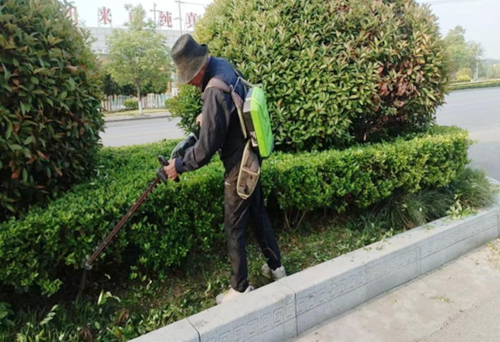 強化精細化管理程度 提升綠化養護水平(1)105.png