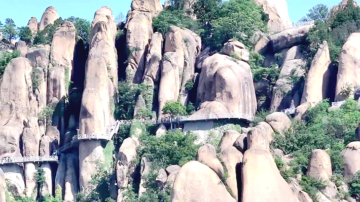 9661270.mp4_20250501_164846.406_副本.jpg