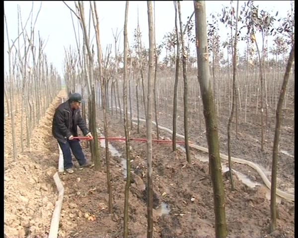 遂平：依托土地流轉發展特色產業