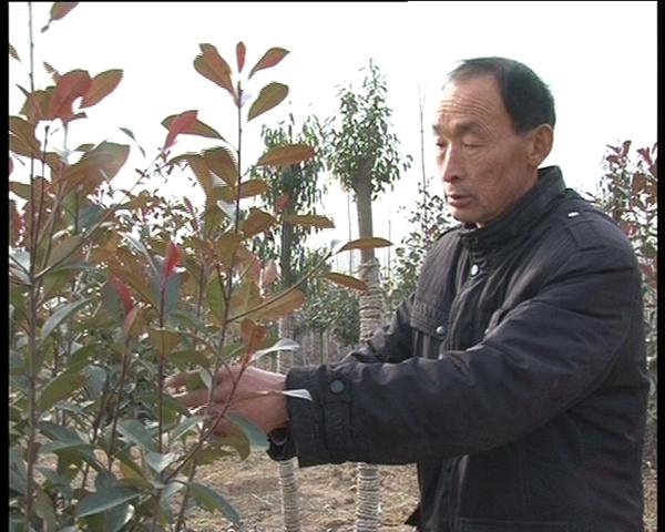 遂平：依托土地流轉發展特色產業