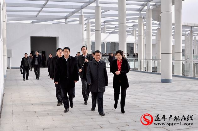 市長武國定深入遂平觀摩城市建設