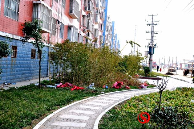 網友觀察:建而不管 勞民傷財