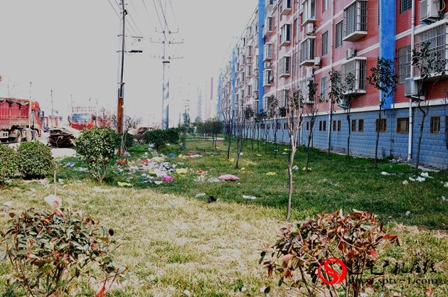 網友觀察:建而不管 勞民傷財