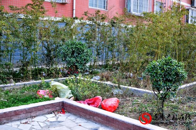 網友觀察:建而不管 勞民傷財