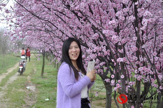 遂平：春天百花開 游客賞花來