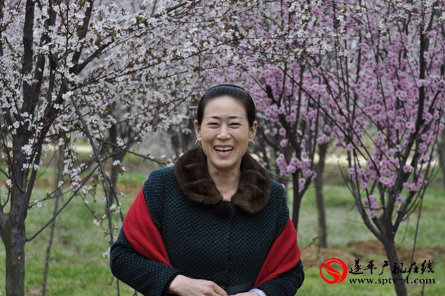 遂平：春天百花開 游客賞花來