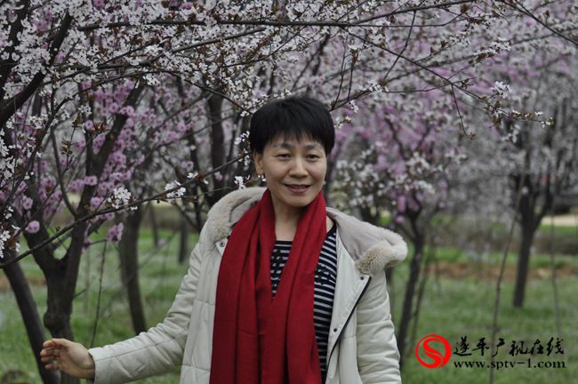 遂平：春天百花開 游客賞花來