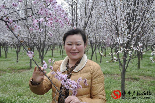 遂平：春天百花開 游客賞花來