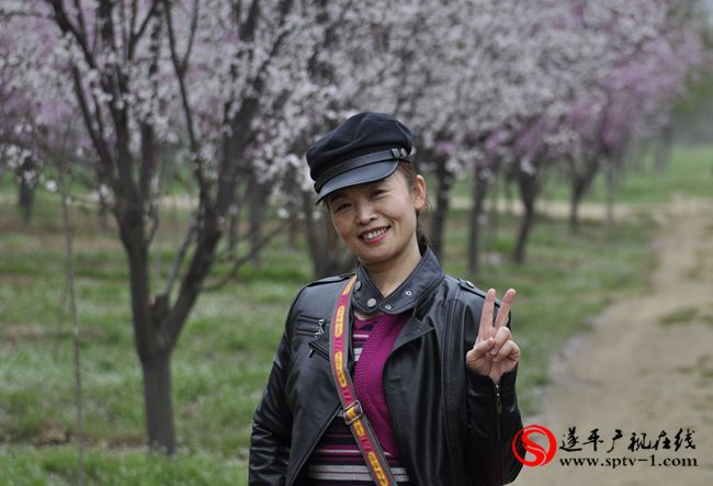 遂平：春天百花開 游客賞花來