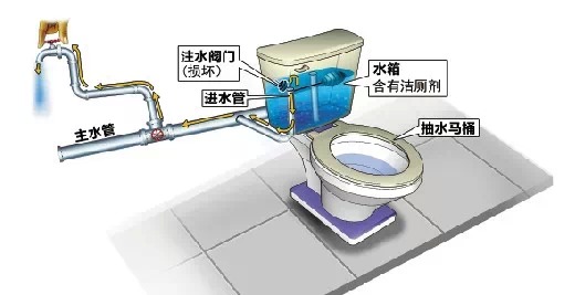 緊急提醒：請不要往馬桶放藍色潔廁塊，因為它會……
