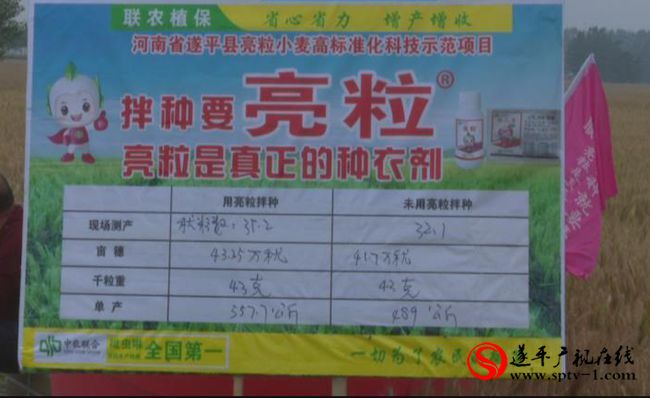 遂平：組織小麥生產觀摩 加強農業技術培訓