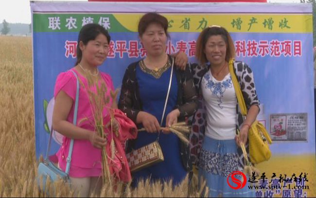 遂平：組織小麥生產觀摩 加強農業技術培訓