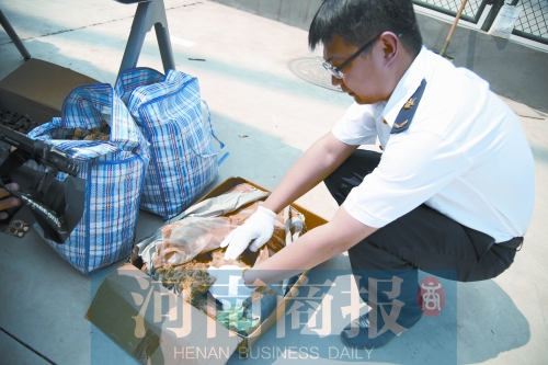 魚翅和燕窩沒進碗里進了焚燒爐 河南銷毀違禁品近1噸