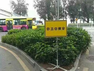 “你丑你橫穿”標語火了 來聽聽心理專家咋說