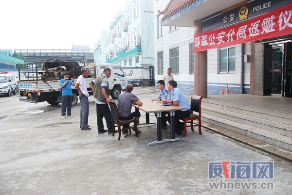 煙臺：男子辦養牛場共養8頭牛 從威海偷來5頭