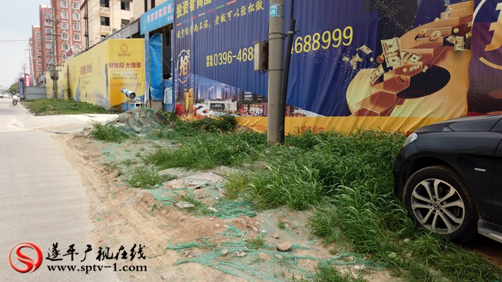 上圖:文化路北段錦繡曹莊二期東側(cè)雜草叢生。