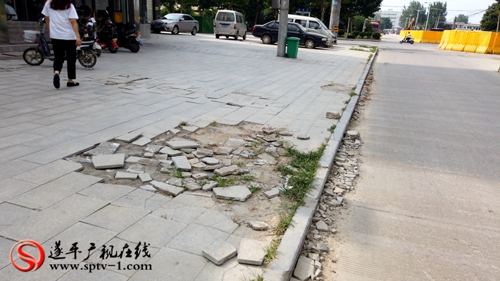 上圖:文化路與遂周路交叉口面磚損壞。