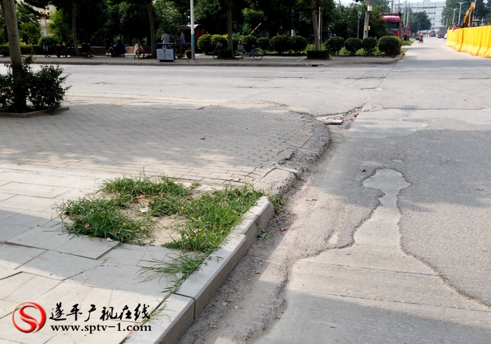 上圖:文化路與遂周路交叉口面磚損壞雜草叢生。