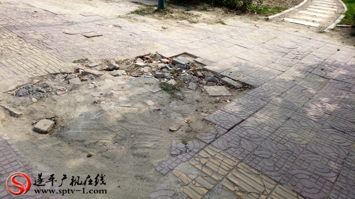 上圖:金山路北路西側(cè)路面破損嚴(yán)重,坑洼不平。