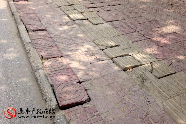 上圖:金山路北路西側(cè)路面破損嚴(yán)重,坑洼不平,晴天嘩嗒響,雨天泥水臟衣裳。