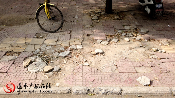 上圖:國(guó)槐路中段職教中心前面人行道面磚破損嚴(yán)重,坑洼不平。